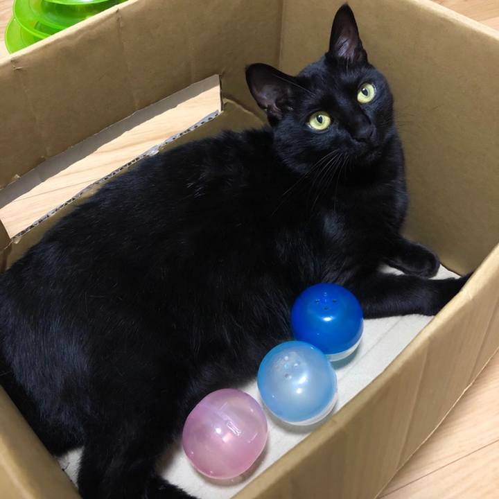 Ce854f2e bdda 46ad 82ac 32ace038d546 1558704927660