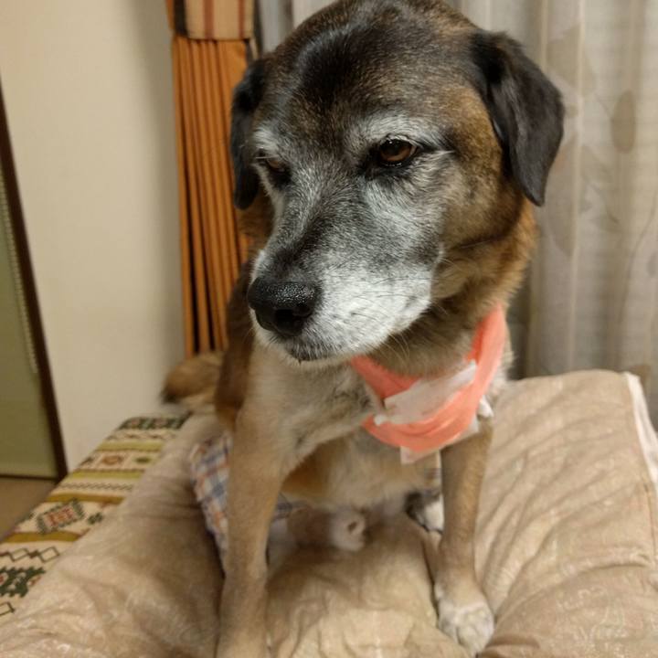 Ce855e6d 71ef 4169 a028 dce01b7512d1 1515584074868