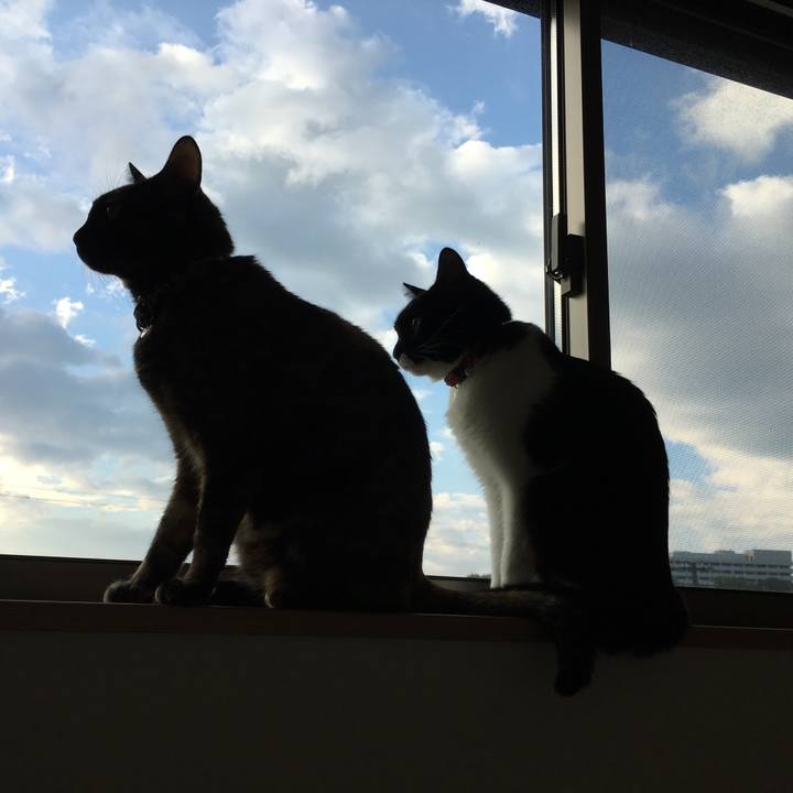 Ce858e7b e64b 49cd badb 64bf09e93c01 1508910498776