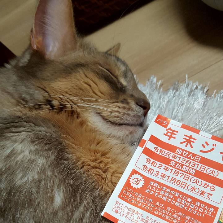 Ce863920 9261 4a64 a69d 4d474e563886 1576916275757