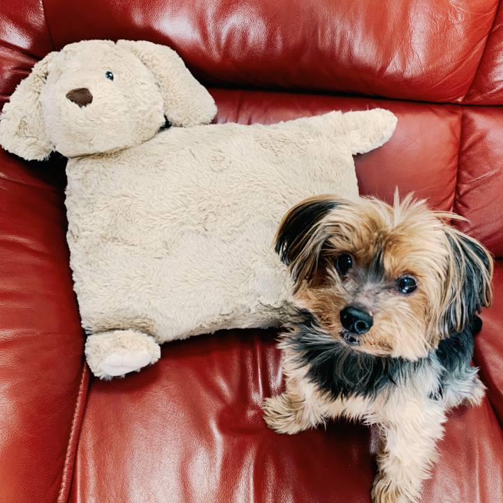 Ce8694ef 6421 4544 b141 64932830de99 1579492500389