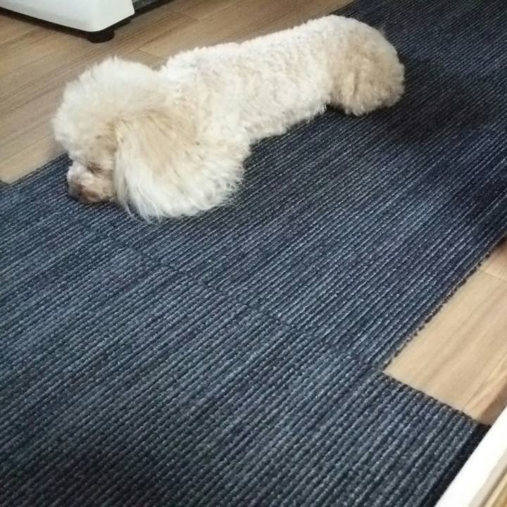 Ce869a54 eb08 4743 a705 da29191d6fe8 1532678681283