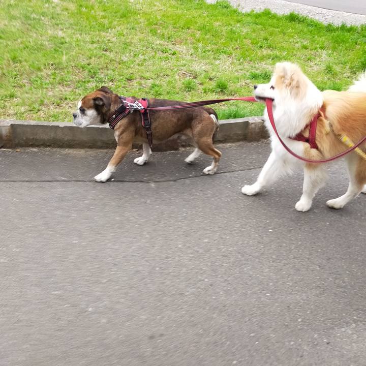 Ce86eed5 dbaf 473a 97dc 98912e0d0594 1648471205198