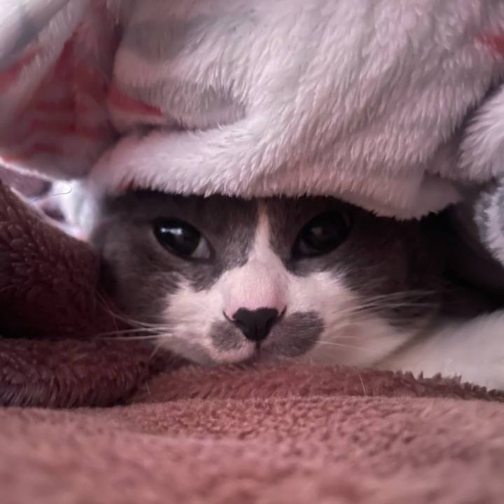 Ce8724df 6597 4a26 8e14 bc5c1ac79cf1 1706220516434