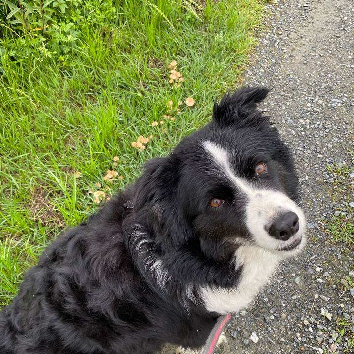 Ce878e02 18ee 42ef b62d a73b8e85adee 1621299523755