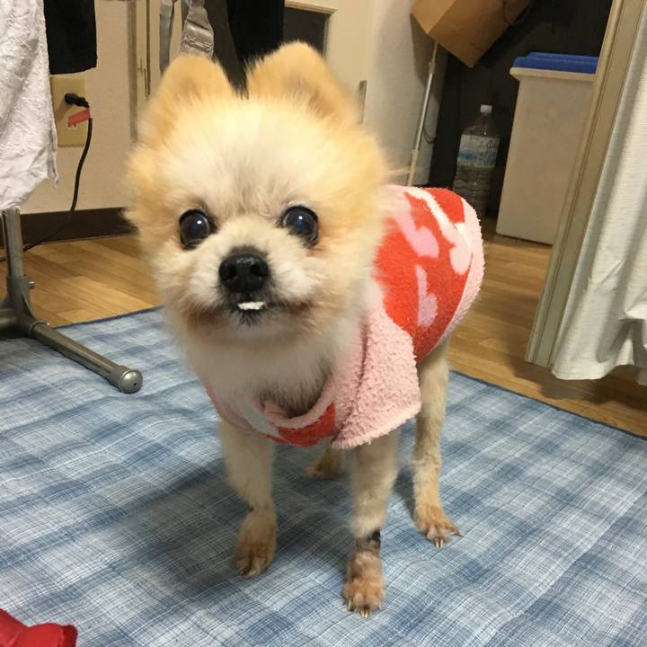 Ce882406 e275 46b2 89cc d30c22806842 1558822203803