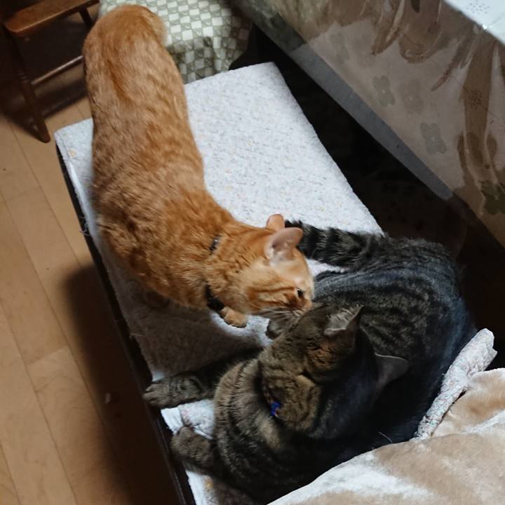 Ce8830ac 3f0a 48b6 89ba 0ae2cbb2d5fb 1642110671227