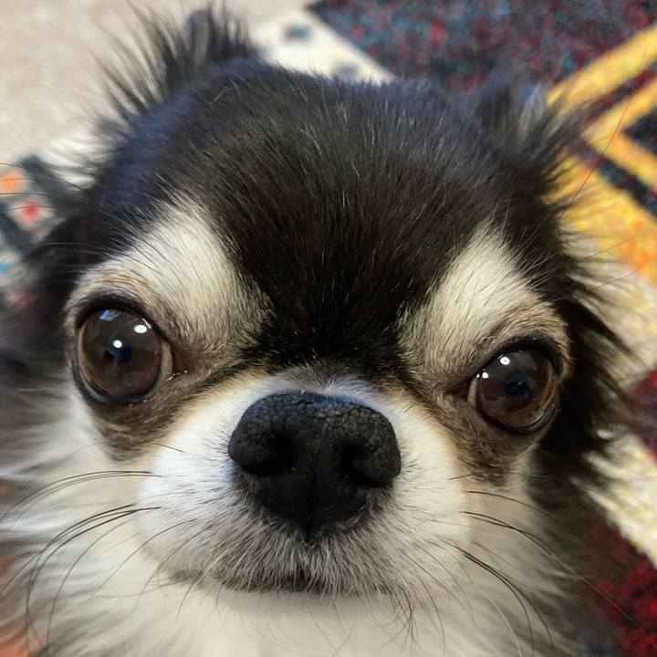 Ce8832b0 1c1e 4d87 9f75 f03cb4d2bc0b 1703287050271