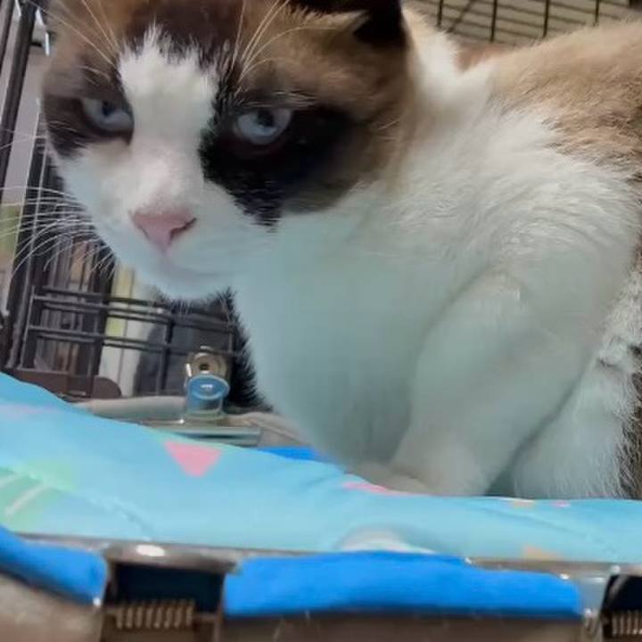 Ce883523 b512 4484 b44d 21f37c5f8f96 1752658539013