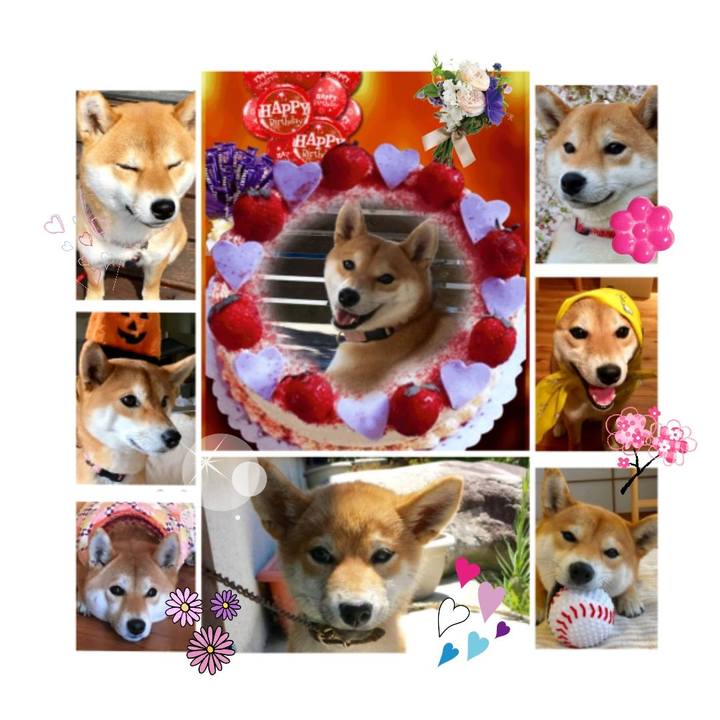 Ce884450 8a8b 444b af25 eb71dcb0694a 1522171915756