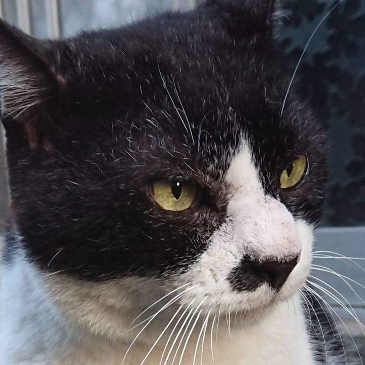 Ce88454f 36bc 4c85 aefc 5d4b89688ed2 1662206464082