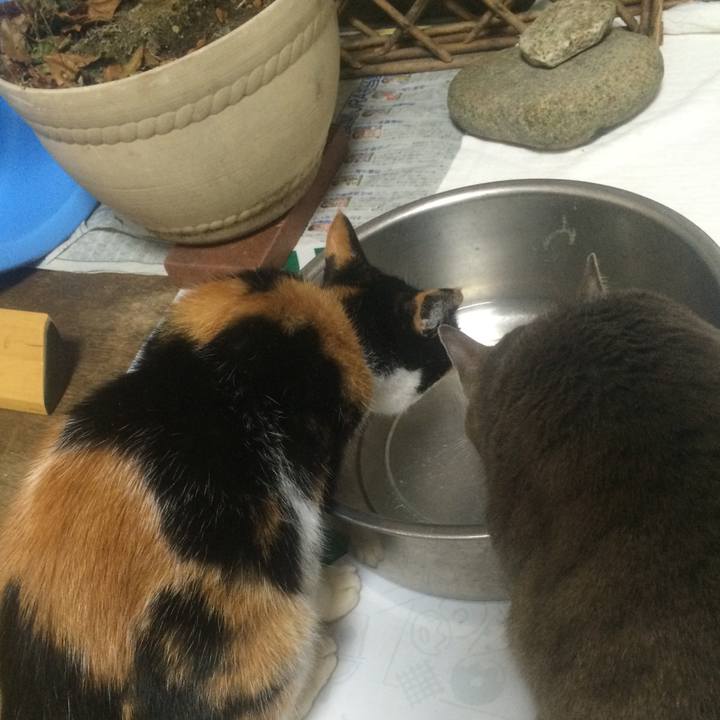 Ce885e3a 80af 4b2f 8ebd d1a74767bb52 1513171598521