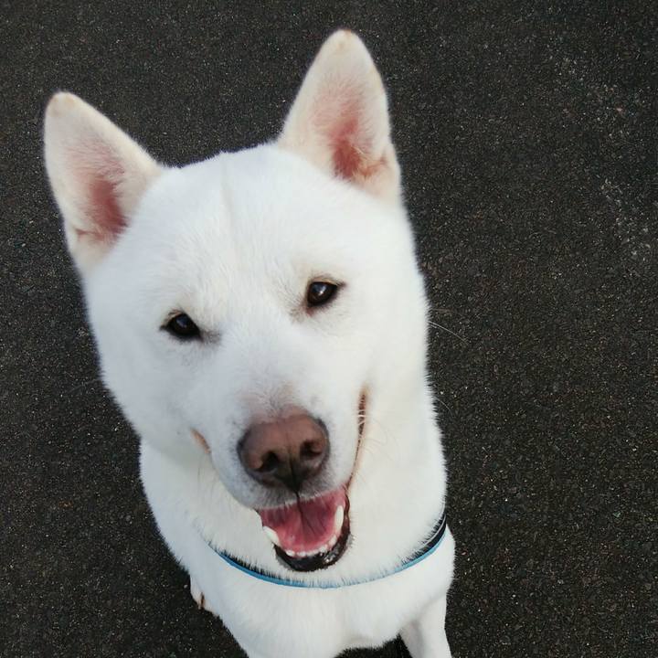 Ce8867de a4b9 4cc4 b233 2d6ccbc56f96 1612658385761