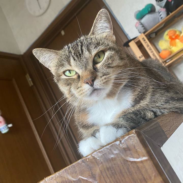 Ce886838 f9b2 43db ba44 41c70a5cef58 1631417927217