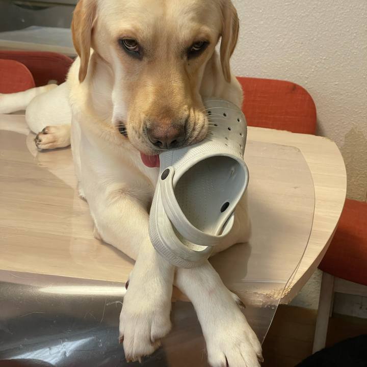 Ce887988 1276 444d 87e4 84061fb9301d 1670975586957