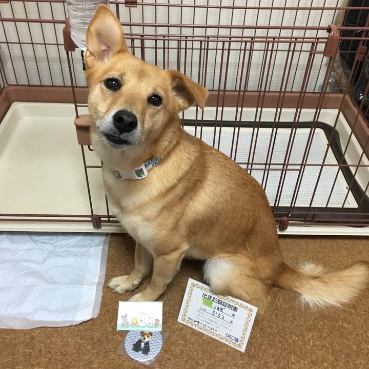 Ce888cd6 013f 429f 8fea 0cebe39f6b8b 1540162237605