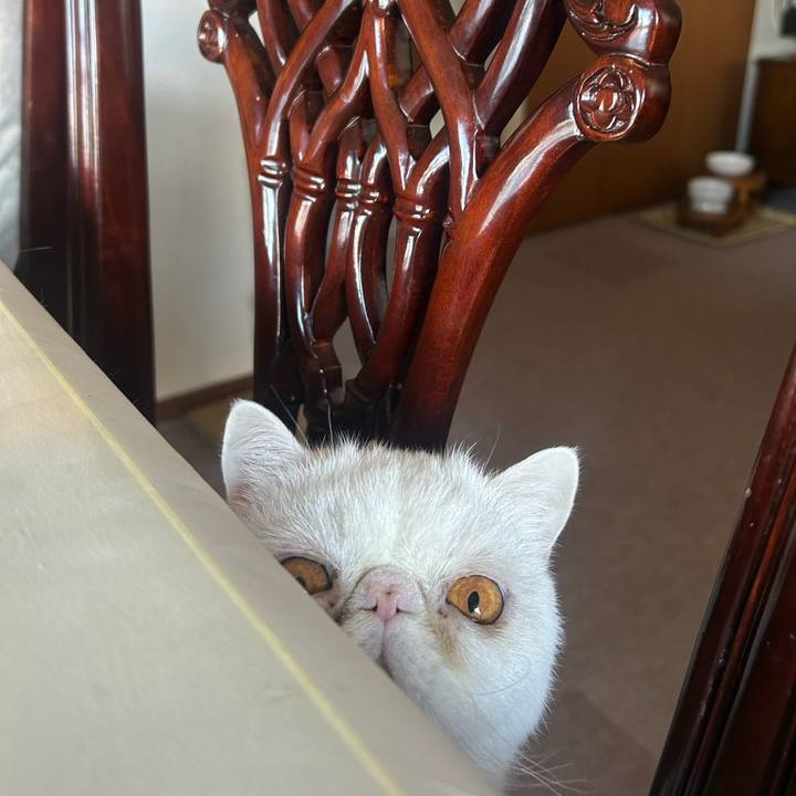 Ce8945f0 f810 40a4 96b9 f0e6111857a8 1767330945696