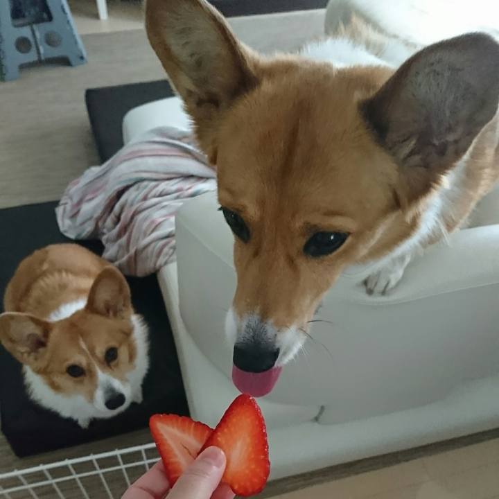 Ce894bef cd8a 42c2 9112 928c030aac31 1555649176152