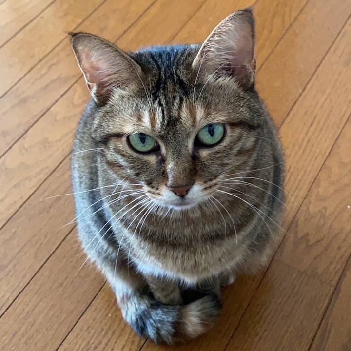 Ce89768b 0a21 467c a3ea af54c29e2d55 1667622860945