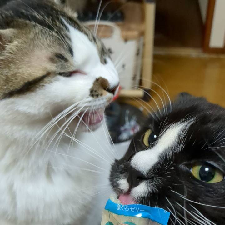 Ce897fb2 1512 413f 8b15 141a6ee42181 1672925267493