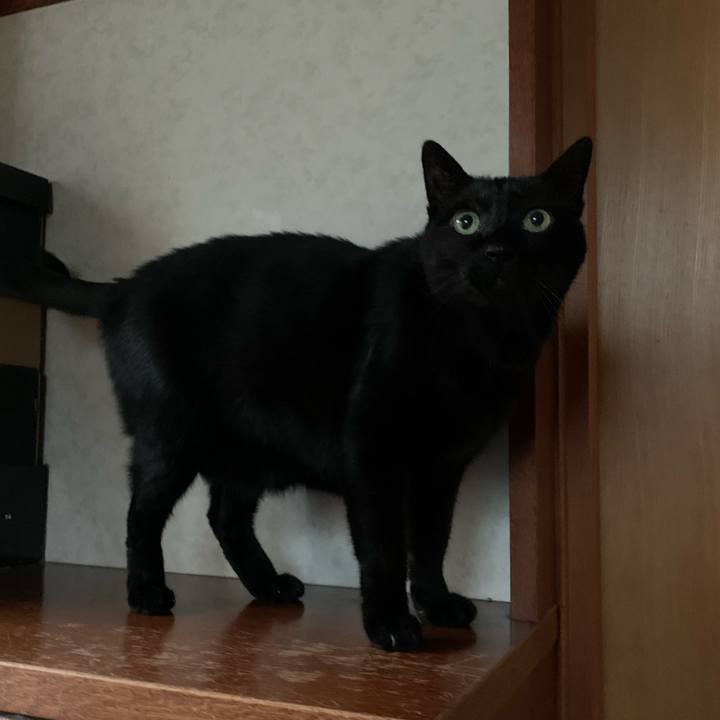 Ce898ac8 c2f3 40aa 99fd 037ebb836114 1575247887116