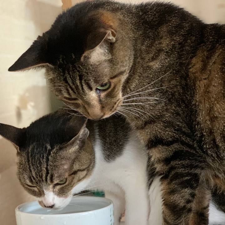 Ce8992ba 075a 485a 82e9 a3596fda4d3e 1596587975873