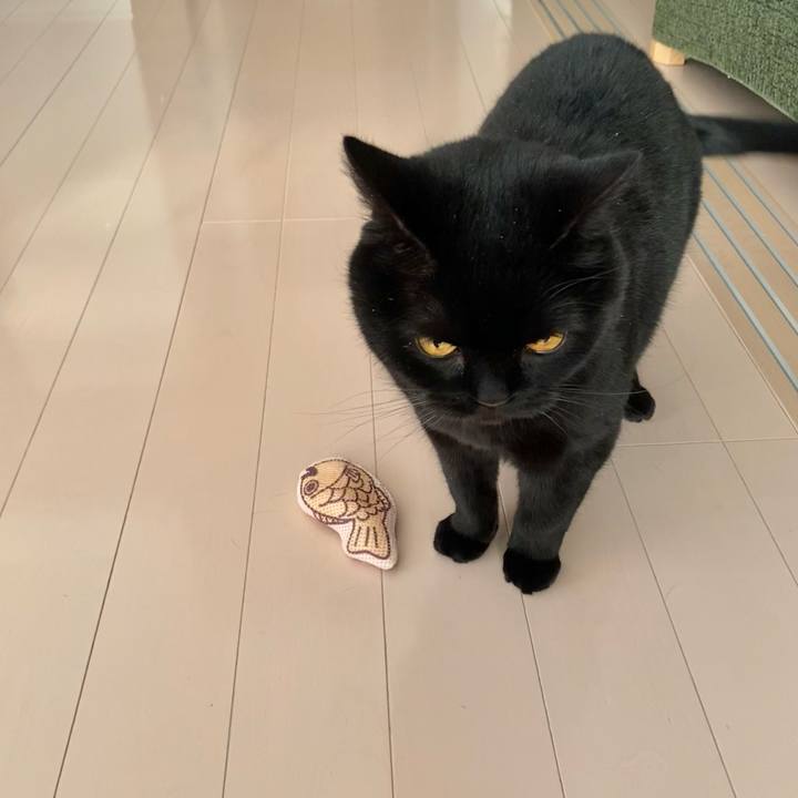 Ce89a948 e418 4638 afb2 81b1736a7844 1711540513730