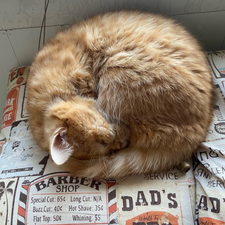 Ce8a22bd 8583 44f0 bf6f ae6fa6c451de 1672380987710