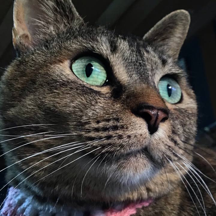 Ce8a2a3f dfa3 4035 a412 d7508fadd0d6 1743065398752