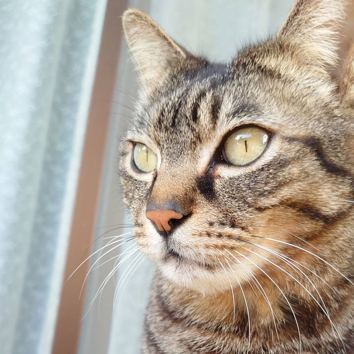 Ce8a3154 5124 40dd b586 f85c5bfe3c27 1649405344817