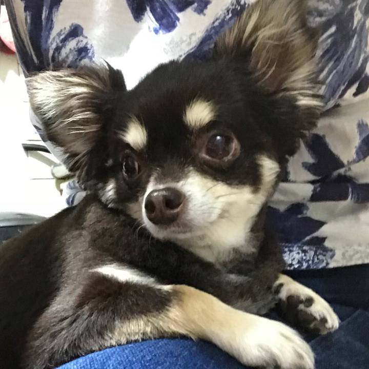 Ce8a3446 7435 4d46 8c00 9c8ce58ceda6 1528805696188