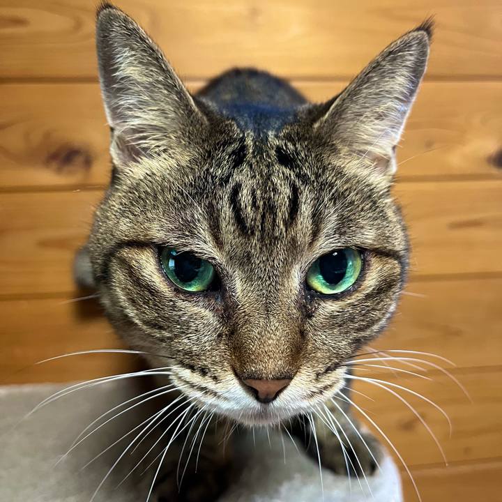 Ce8a57e9 d626 4a7d bb40 3998375eeb28 1694220023901