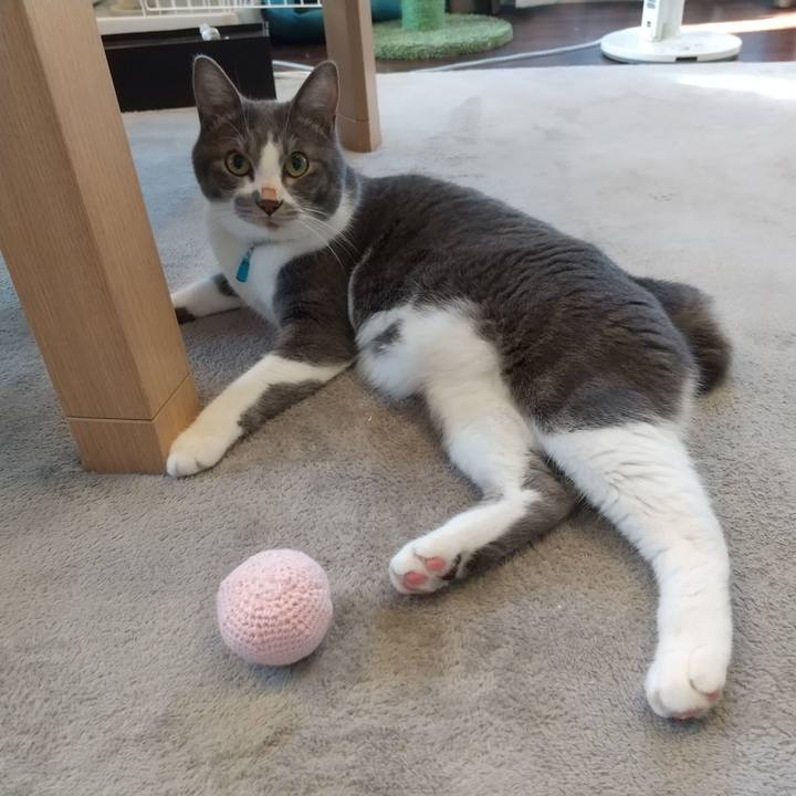 Ce8a8e67 1655 4c3d a1a1 b46874e511f9 1628548621340