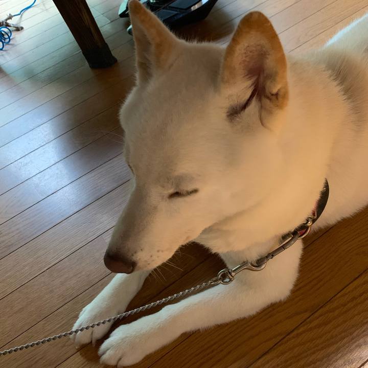 Ce8ad33c f976 451a b9e2 40ba56a1433c 1565385510241