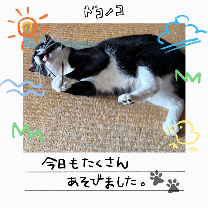 Ce8af1d7 b7c2 4653 8a30 b9eda9346260 1755307233616
