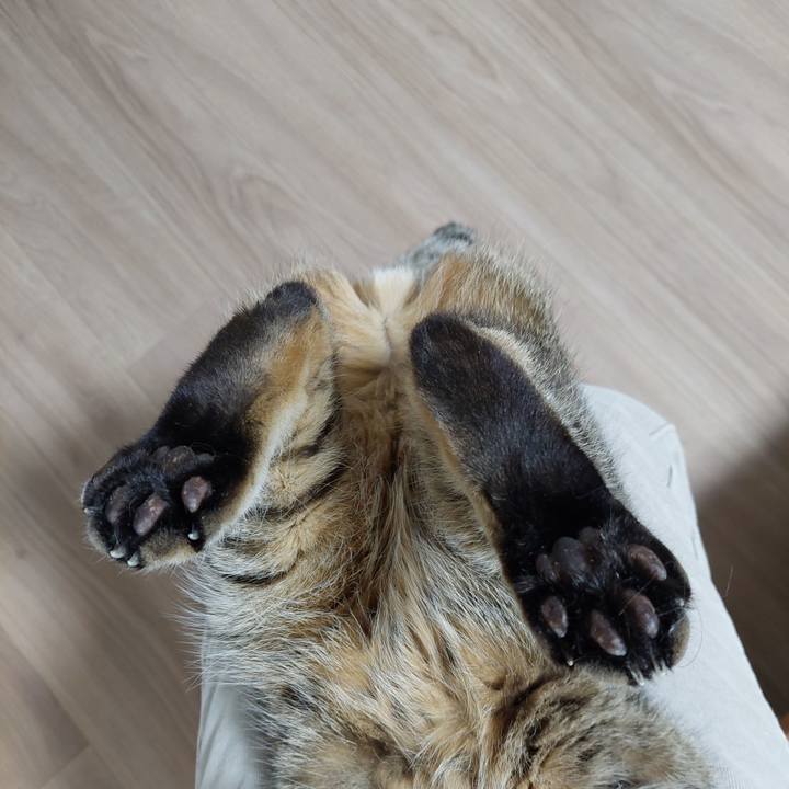 Ce8b384e d4be 48d1 a46a 0956c4008d65 1741128924866