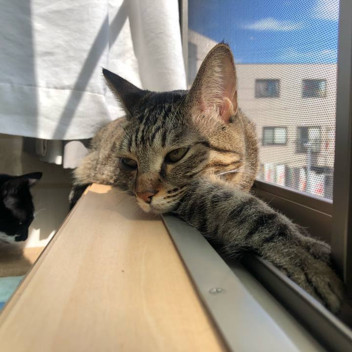 Ce8b4277 5cca 4a7d 929a 6d16a31c4760 1603019667986