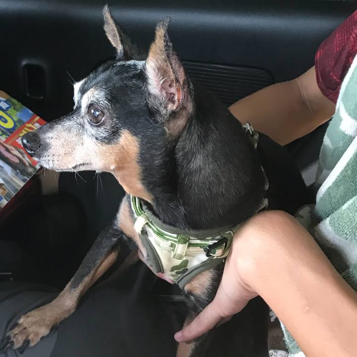 Ce8b4efd 4b85 47ff 8703 ba4ecfa4810a 1566012183862