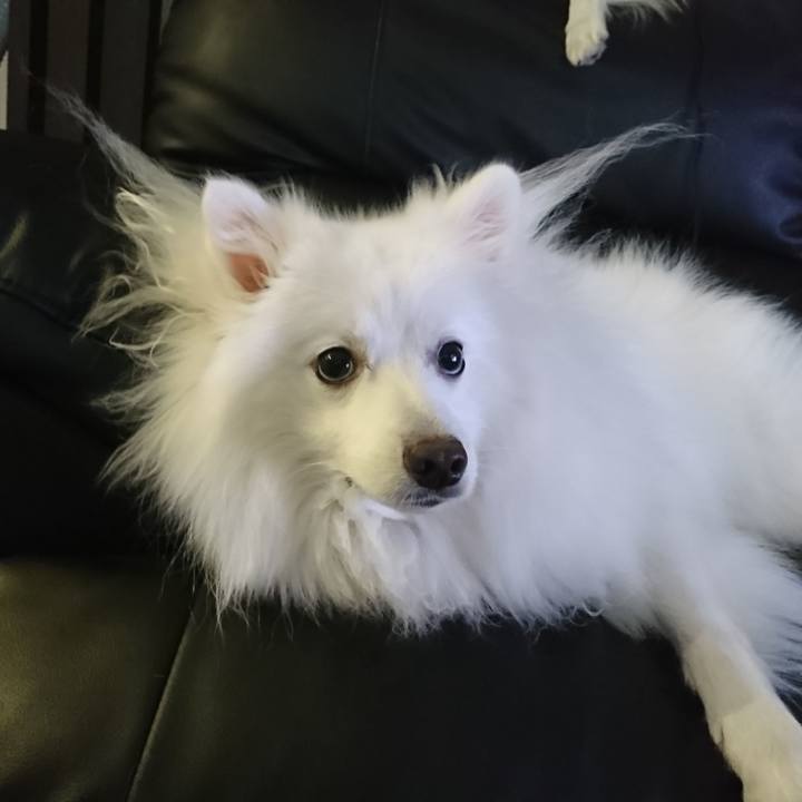 Ce8b8ed2 dbd0 4f21 ae6d a30445ef64e6 1587370194698