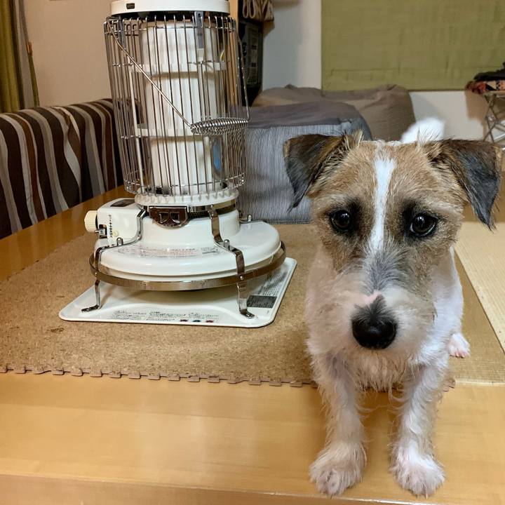 Ce8b9711 122a 4ef8 b6b6 9b4bc1b6ec74 1605610739420