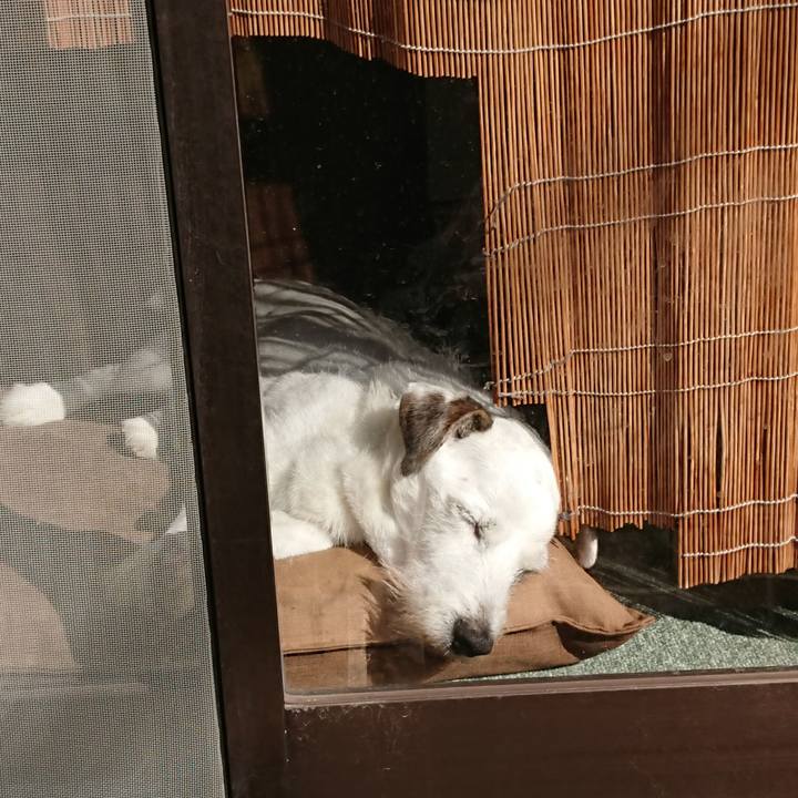 Ce8ba2c1 0133 49b4 92a7 c2143c093d2a 1569888701216