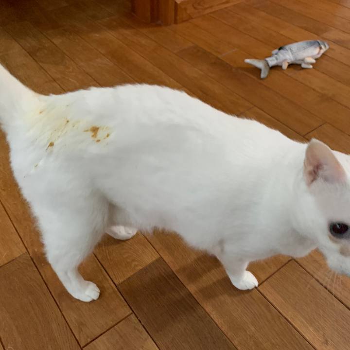 Ce8ba7e9 0dfd 4e4a 90ed 9a06854a8432 1666993085843