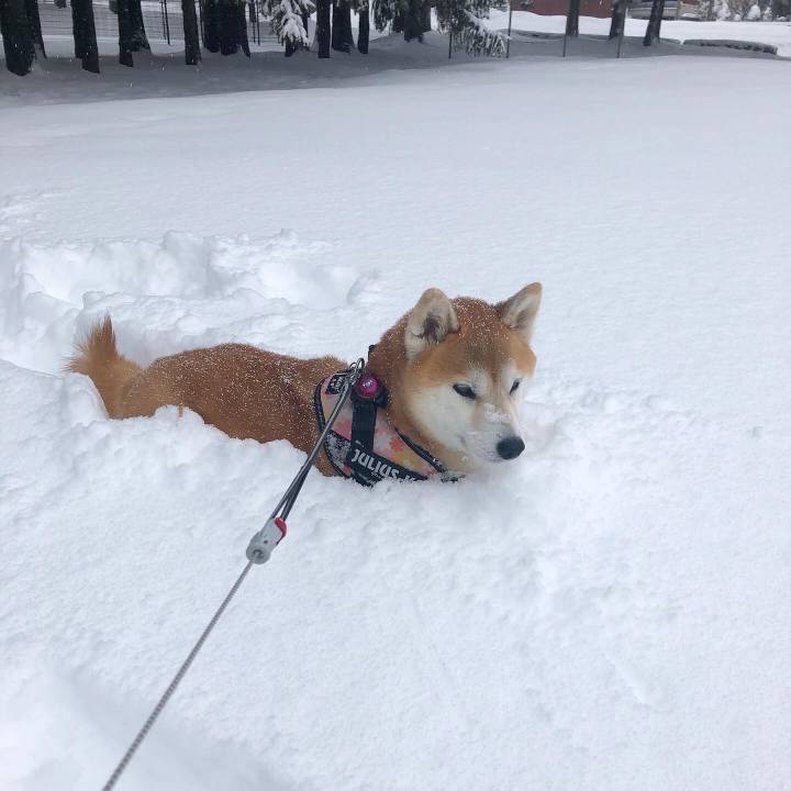 Ce8bbd4a bf83 4d87 b83a a9fd99acc5a8 1581899883662