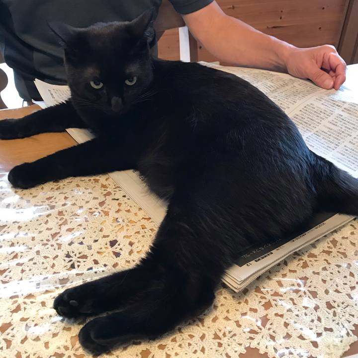 Ce8bdc69 aad0 47dc a965 3a0b6e87ca75 1587590272400