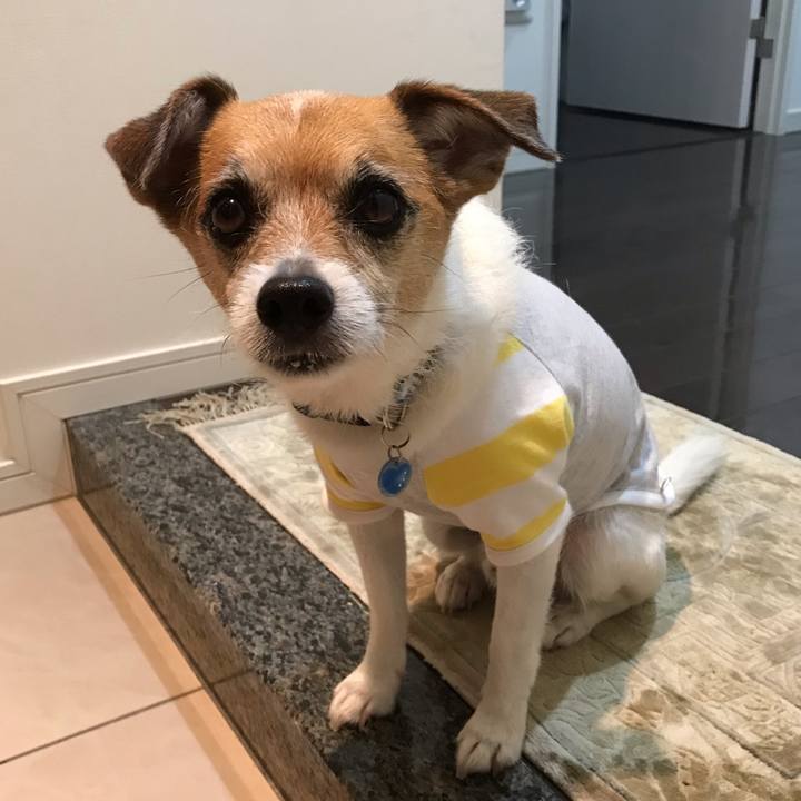 Ce8bf226 3f8a 4275 a2f5 24234a6bdbdc 1557181807848