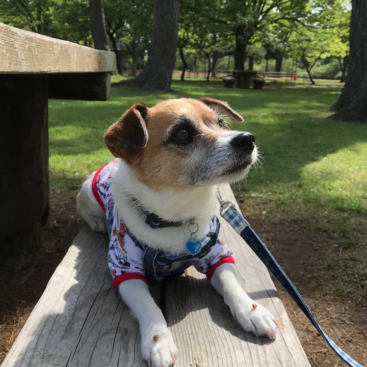 Ce8c145a 4646 4441 a92f cee68c2f9db4 1557020759968