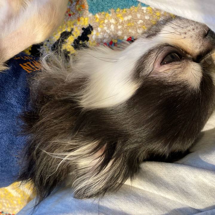 Ce8c5050 4770 40a3 afe7 419cc9a9690a 1711899993473