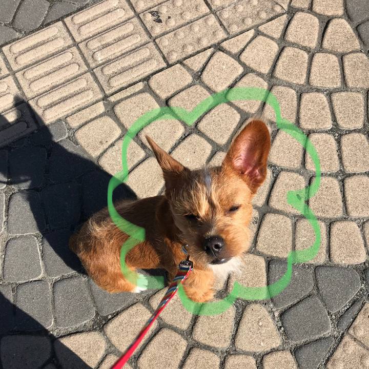 Ce8c92fb bef1 4779 98d3 000e65401418 1527150373692