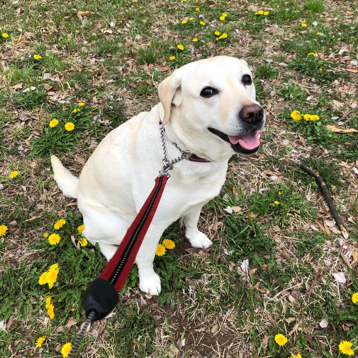 Ce8ca156 6fa6 4ef6 b111 595790d35fe6 1648783763623