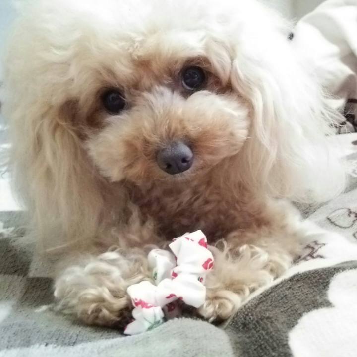 Ce8cb9f6 a5d8 4b17 a18e be803ae52cec 1557579240358